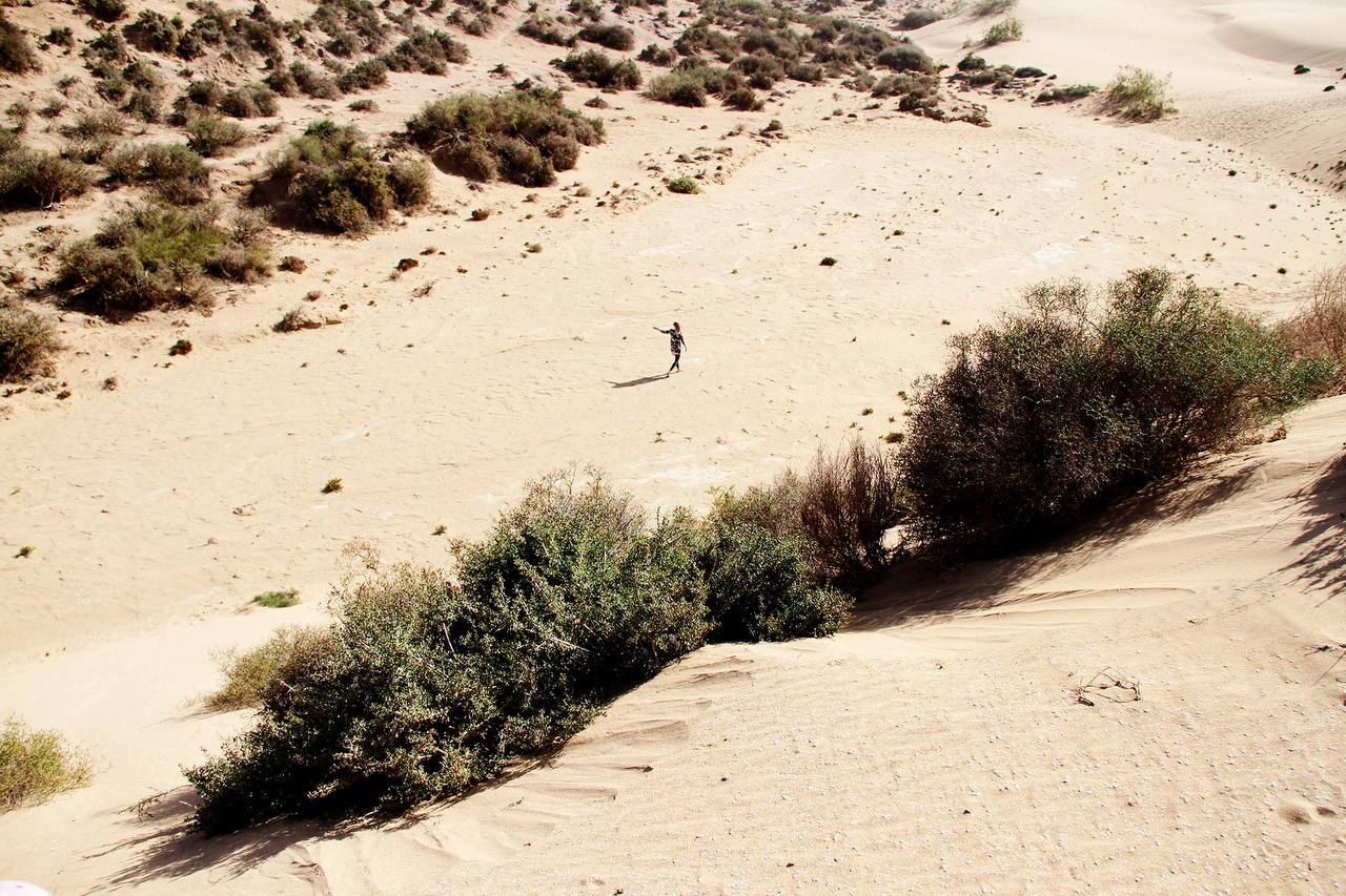 Sandboarding gallery image 1