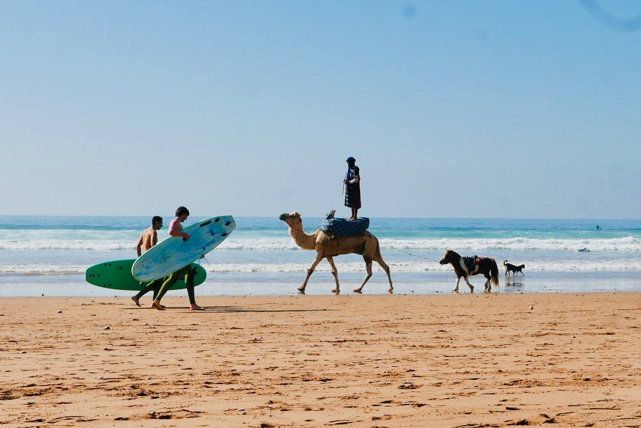 Killers surf conditions around Taghazout, Morocco